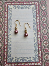 True Elegance Pearl Earrings
